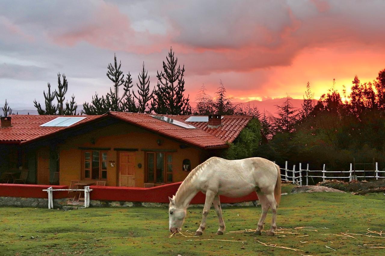 The Lazy Dog Inn A Mountain Lodge Huaraz  Exterior photo